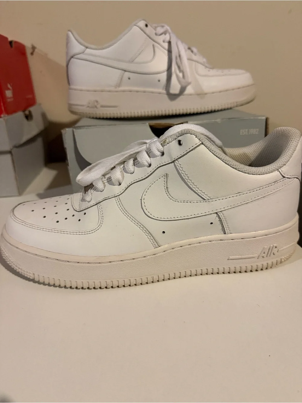 Nike All-White Low Top Sneakers